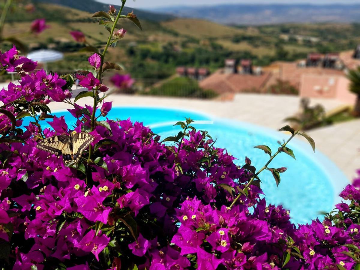 Residence Pala Stiddata With Panoramic Swimming Pool Trinità dʼAgultu Екстериор снимка